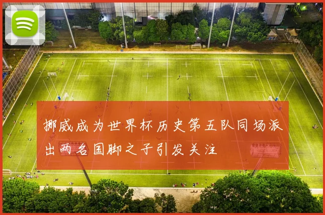 挪威成为世界杯历史第五队同场派出两名国脚之子引发关注